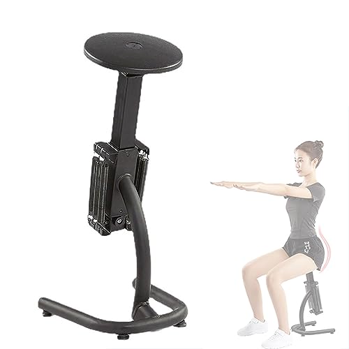DYK&NX Sissy Squat Maquina, Máquinas de piernas Dispositivo De Sentadillas Multifuncional, AB Workout para Home Cardio Gym Workout