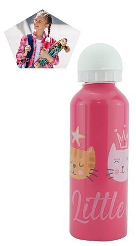 HOVUK® Botella de agua deportiva para niños de 500 ml o 17 onzas, hecha de aluminio con estampado de personajes para niños, color rosa