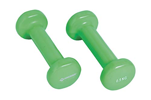 Schildkröt Set de 2 Mancuernas de Vinilo Fitness 0,5 kg, Verde, 960204