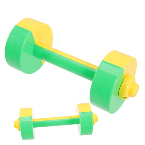 HEALEEP 2 Piezas mancuernas para niños pesas con mancuernas juguetes de los niños juguetes infantiles pesas escolares hacer ejercicio con pesas para niños bicolor productos para niños