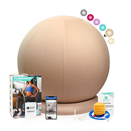 Enovi ProBalanceΩ,Silla de pelota de yoga con funda acogedora y base de estabilidad para oficina y escritorio del hogar, asiento de bola para aliviar el dolor de espalda, 65 cm, WB