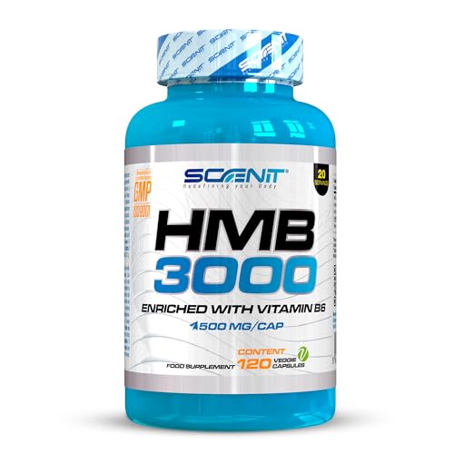 HMB 3000-3000 mg de HMB suplemento capsulas con Vitamina B6 - HMB capsulas - HMB Puro - Suplemento HMB - 120 cápsulas veganas