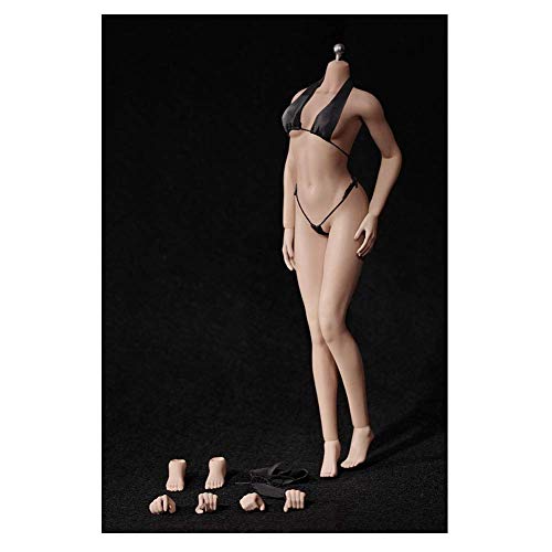 ZSMD 1/6 Escala de proporción femenina sin costuras cuerpo de mancuerna con esqueleto de acero inoxidable (S16 A Mid Chest, blanco)