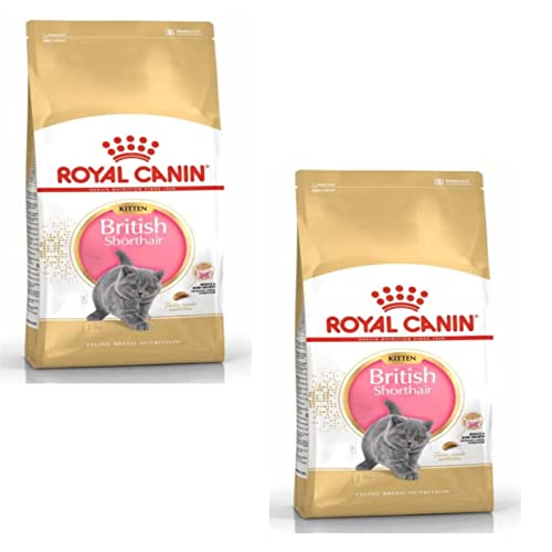 Royal Canin British Shorthair Kitten | Paquete Doble | 2 x 400 g | Pienso para Gatitos BKH | hasta 12 Meses | Favorece el Crecimiento de Huesos y músculos