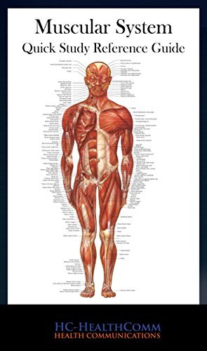 Muscular System - Quick Reference Guide: Full Illustrated (English Edition)