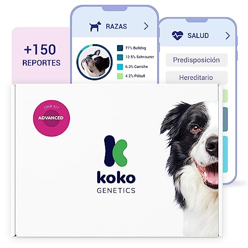 Koko Test ADN para Perros Advanced - (+150 Reportes de Razas, Salud y Rasgos) - Actualizaciones sin Coste