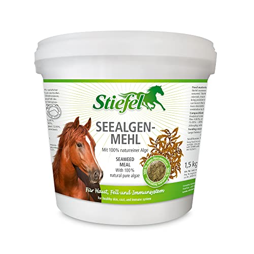 Stiefel Harina de algas marinas para caballos, 100% algas naturales, efecto positivo sobre la piel y el pelaje, apoya el sistema inmunológico, rico en minerales, oligoelementos y aminoácidos, 1,5 kg