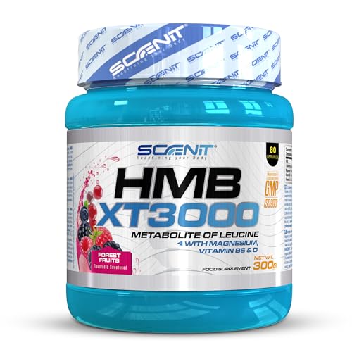 HMB XT 3000 - 3000 mg de HMB en polvo anticatabólico con Glutamina, Magnesio, Vitamina B6 y Vitamina D - Sabor frutos del bosque