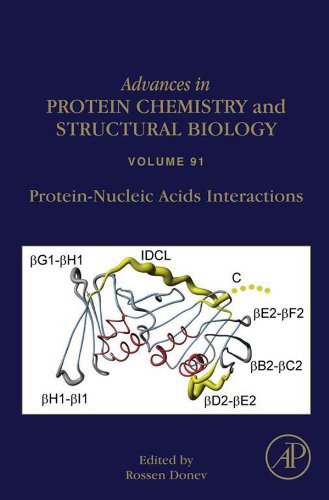 Protein-Nucleic Acids Interactions (Advances in Protein Chemistry and Structural Biology, Volume 91) (English Edition)