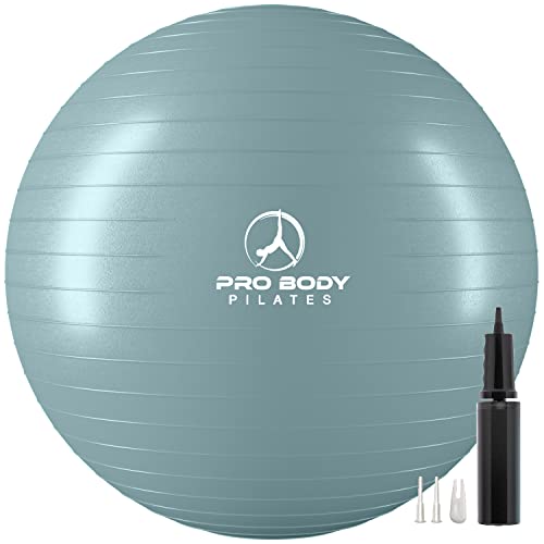 ProBody Pilates Pelota de Ejercicio - Anti-explosión Bola de Equilibrio Yoga de la Aptitud Profesional de Grado 55 cm Plata (sin Bomba)