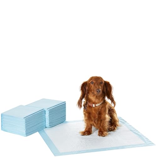 Amazon Basics - Tapete de entrenamiento para perros, a prueba de fugas, 5 capas, con perfume, 55,88 x 55,88 cm, paquete de 50 unidades