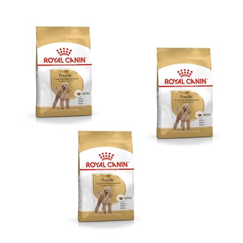 ROYAL CANIN Poodle Adult | Pack de 3 | 3 x 500 g | Alimento seco para caniches adultos | Para apoyar el pelaje y el tono muscular | Para perros a partir de 10 meses de edad