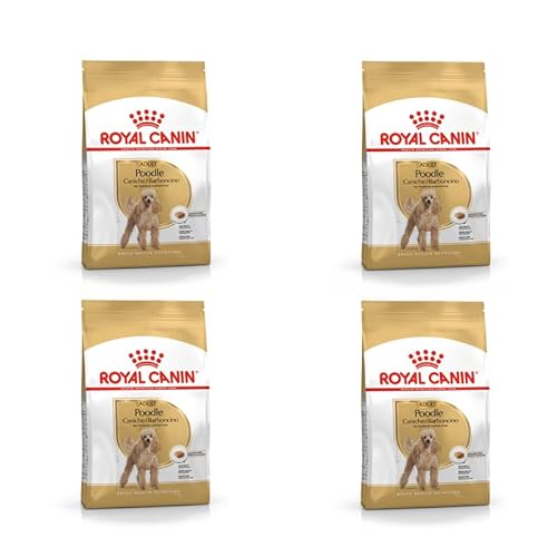 ROYAL CANIN Poodle Adult | Pack de 4 | 4 x 500 g | Alimento seco para caniches adultos | Para apoyar el pelaje y el tono muscular | Para perros a partir de 10 meses de edad