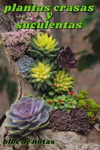 Plantas Crasas y Suculentas - bloc de notas: Aficionados o profesionales - Escriba sus plantas en minutos