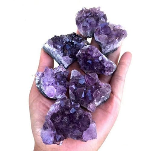 HRTDOFFE Natural Raw Purple Brazilian Amethyst Cuarzo Crystal Cluster Healing Stones Espécimen Decoración del hogar Artesanía Ornamento-20-30g,Estados Unidos
