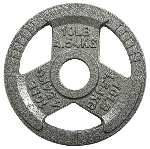 Sporzon! Disco de pesas olímpicas de hierro fundido de 2 pulgadas para entrenamiento de fuerza, levantamiento de pesas y crossfit, individual, gris, 10 libras
