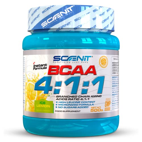 BCAA 4:1:1 | 500 g | Aminoácidos ramificados en polvo con sabor | BCAA en polvo con sabor | Leucina, isoleucina y valina 4:1:1 | Aminoácidos BCAA 4:1:1 en polvo con sabor (Limón)