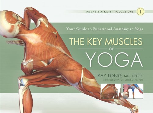 The Key Muscles of Yoga: Scientific Keys Volume I (English Edition)