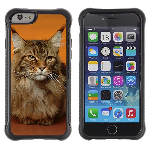 LASTONE PHONE CASE / Suave Silicona Caso Carcasa de Caucho Funda para Apple Iphone 6 PLUS 5.5 / Maine Coon Cat Orange House Pet