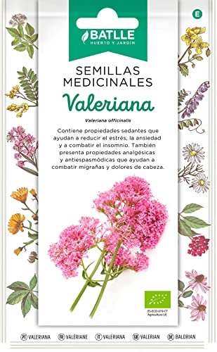 Semillas Medicinales - Valeriana - Semillas Batlle