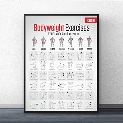 DIARQT Cuadros Decorativos Free Body Weight Workout Fitness Muscle Home Ejercicio Pose Chart Poster Art Wall Art Picture Pintura Lienzo Home Room Wall Print Decor Pintura de Arte de pared-20x28inch