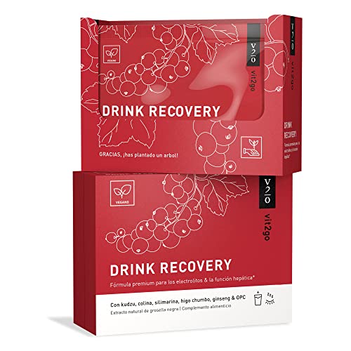 Vit2go DRINK RECOVERY (10 sobres) - Polvo electrolítico, desintoxicación, rehidratación del hígado, polvo de recuperación matutina con vitaminas, colina, flor de Kudzu, cardo mariano, L-cisteína