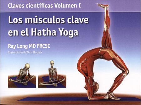Los músculos clave en el hatha yoga (ENCICLOPEDIA TECNICA)