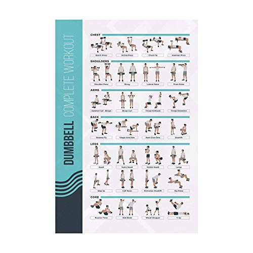 PosterMate - FitMate - Pster de ejercicio con mancuernas ? rutina de entrenamiento con pesas libres, decoracin de gimnasio en casa, gua de habitacin (42 x 63 cm)