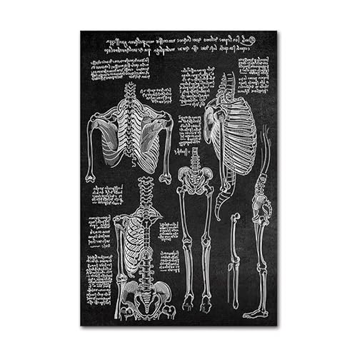 1pc Blanco Blanco Cuerpo Humano Anatomía Médica Cartel de Estampado Esqueleto Arquitectura de la Arquitectura del músculo Pintura del cráneo de la Pared Moderna