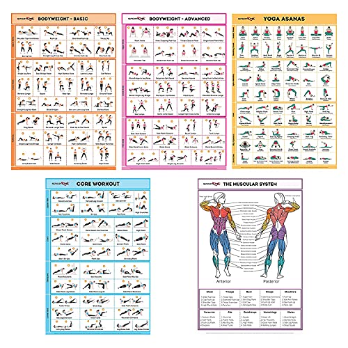 SPORTAXIS Paquete de 5 pósteres laminados de entrenamiento para el hogar sin equipo, ilustraciones a color, peso corporal, ejercicios básicos de construcción, yoga, entrenamiento abdominales para